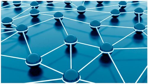 芬欧蓝泰升级RFID标签产品，以网络信息技术开发助力细分标签市场发展